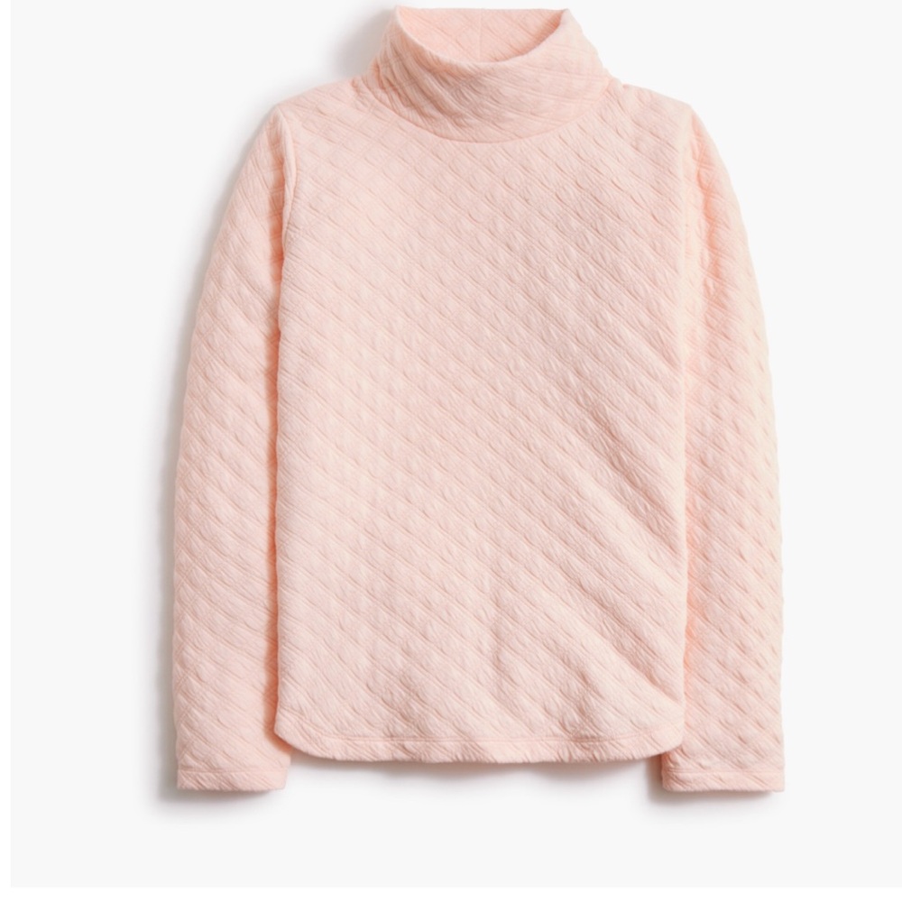 J. Crew Cozy Pink Turtleneck Sweater